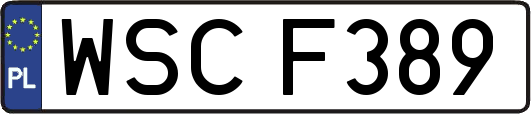 WSCF389