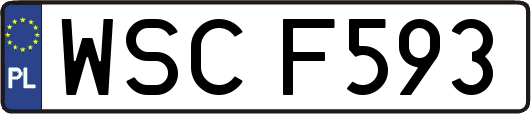 WSCF593