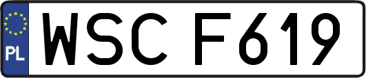 WSCF619