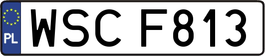 WSCF813