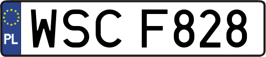 WSCF828
