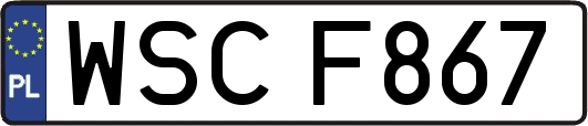WSCF867