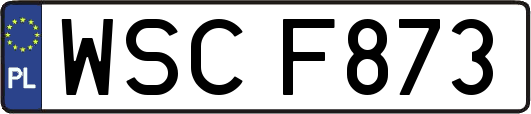 WSCF873