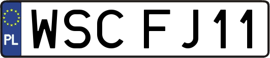 WSCFJ11