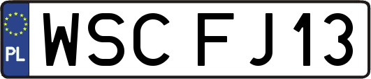 WSCFJ13