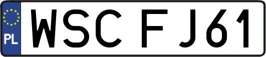 WSCFJ61