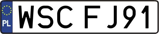 WSCFJ91