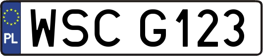 WSCG123