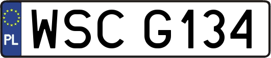 WSCG134