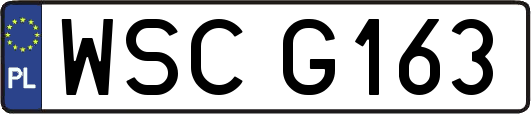 WSCG163