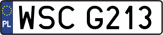 WSCG213