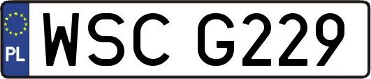 WSCG229