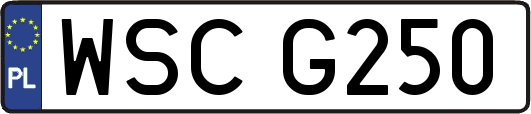 WSCG250