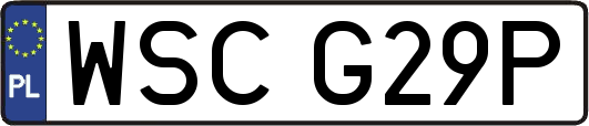 WSCG29P
