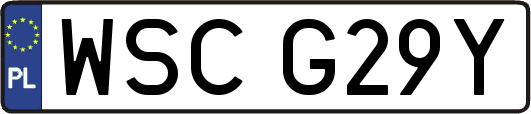 WSCG29Y