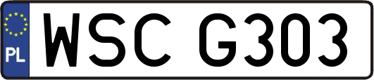 WSCG303