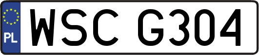 WSCG304