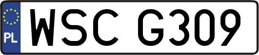 WSCG309