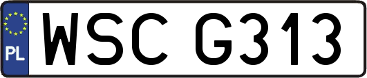 WSCG313