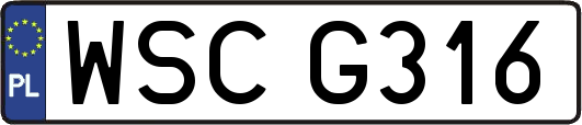 WSCG316