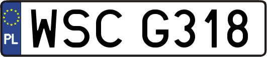 WSCG318