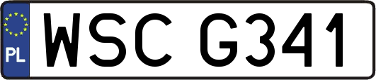 WSCG341
