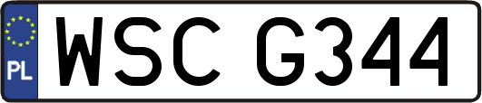 WSCG344