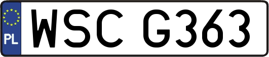 WSCG363