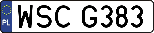 WSCG383
