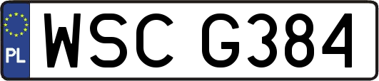 WSCG384