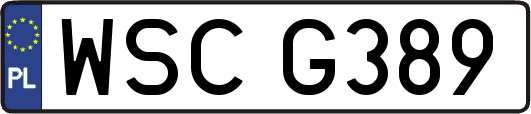 WSCG389