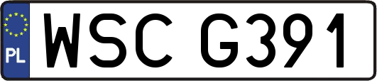 WSCG391