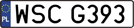 WSCG393