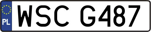 WSCG487