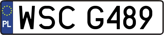 WSCG489