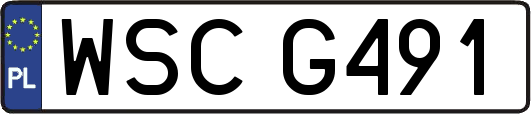 WSCG491