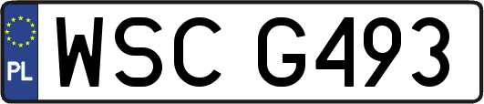 WSCG493