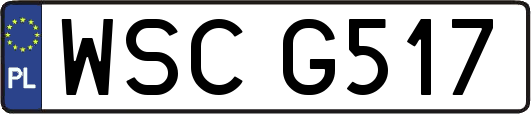 WSCG517