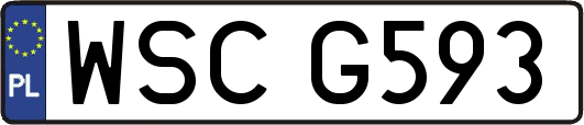 WSCG593