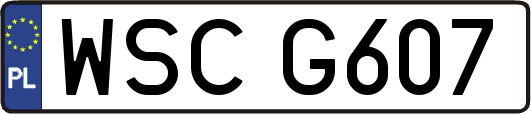 WSCG607