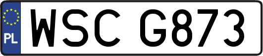 WSCG873