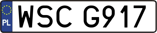 WSCG917