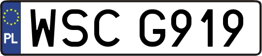 WSCG919