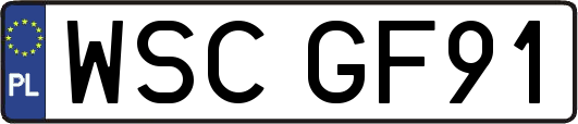 WSCGF91
