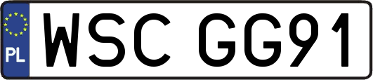 WSCGG91