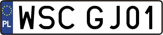 WSCGJ01