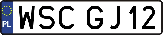 WSCGJ12