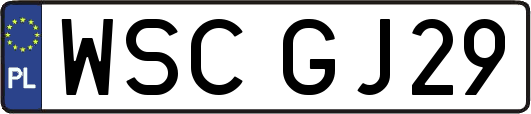 WSCGJ29