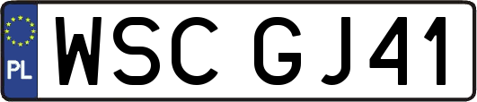 WSCGJ41