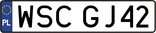 WSCGJ42